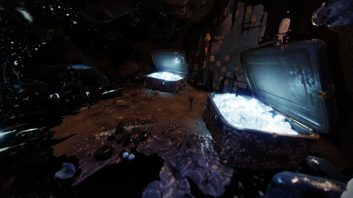 Secret chest in Destiny 2's Nether.